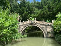 -上海醉白池公园