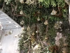 -潮粥荟·潮汕砂锅粥(朝阳大悦城店)