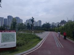 -永康森林公园