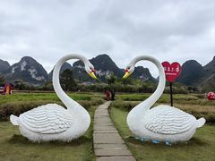 -靖西鹅泉风景区