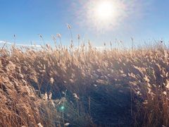 -野鸭湖国家湿地公园