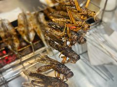 -小寒羊烧烤(凯瑞时代大厦店)