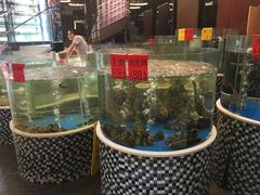 水产区-蓬川食府(金海道店)