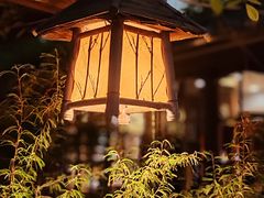 -菩提书坊(侨福大厦店)