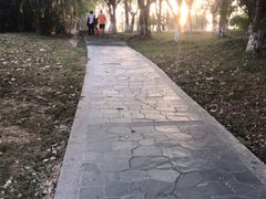 -玉树公园