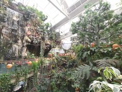 -正佳雨林生态植物园
