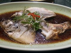-新白鹿餐厅(悠迈生活广场店)