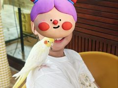-三亚亚龙湾人间天堂鸟巢度假村