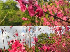 -水濂山森林公园