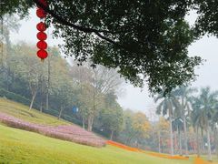 -广州市白云山风景名胜区