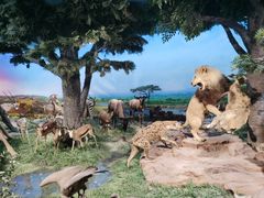 -国家自然博物馆