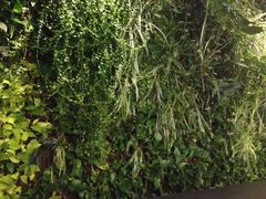 -青年公社烤鸭(蜀山万象汇店)