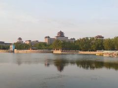 -莲花池公园