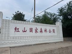 -红山国家森林公园