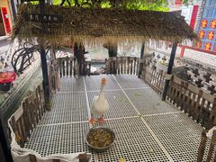 -优之名鹅城
