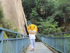 -六里坪国家森林公园