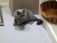 -派特宠物医院(圆融广场店)