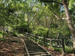 -上海佘山国家森林公园天马山园