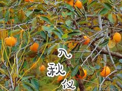 -封龙山风景区