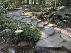 -大屏嶂森林公园