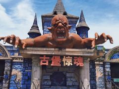 -顾村公园