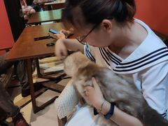 -猫色咖啡·猫咖