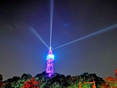 -金鸡山公园