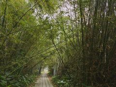 -开平碉楼文化旅游区马降龙景区