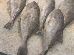 -中国舟山国际水产城