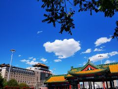 -莲花池公园