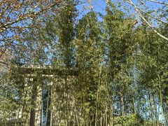 -春晖园度假酒店温泉