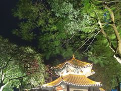 -广州塔