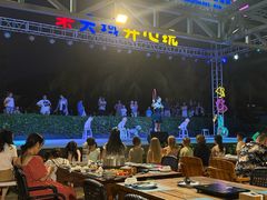 -渔家火锅·海鲜自助餐·演艺(亚龙湾天域酒店)