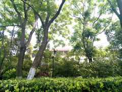 -白沙古井
