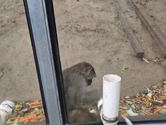 -北京鹿世界主题园