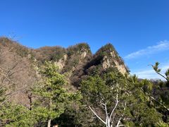 -王顺山国家森林公园