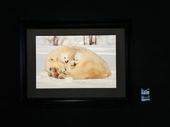 -罗红摄影艺术馆