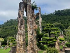 -深圳仙湖植物园