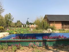 -中家鑫园温泉酒店鑫悦汤泉