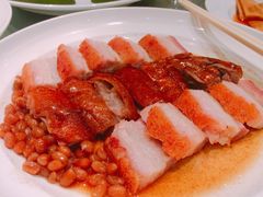 -金汇酒楼(中山东区店)