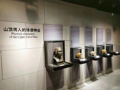-北京周口店北京人遗址博物馆