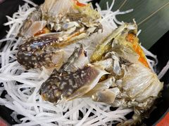 -渔娘渔家丹东海鲜(东直门店)