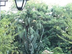 -西湖公园(鼓楼区)