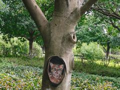 -白塘生态植物园
