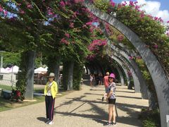 -布里斯班南岸公园