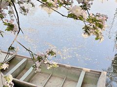 -莲池书院博物馆