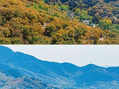-沂蒙山旅游区龟蒙景区