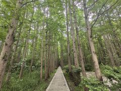 -同里国家湿地公园