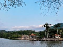 -深圳仙湖植物园