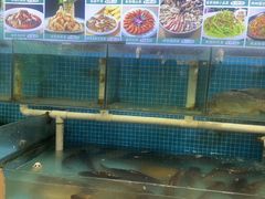 -崂山水果园农家宴(泉水鸡店)